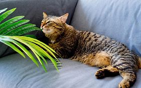 Bahia Rooms Cantabria 3000